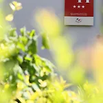 Hotel Kyriad Nancy Sud - Ludres